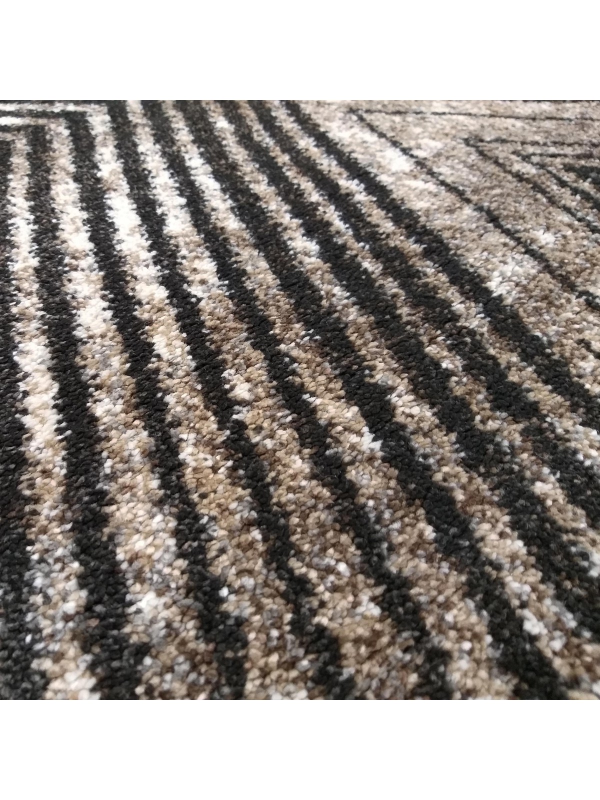 Dywan Nowoczesny Panamero 14 - Brązowy